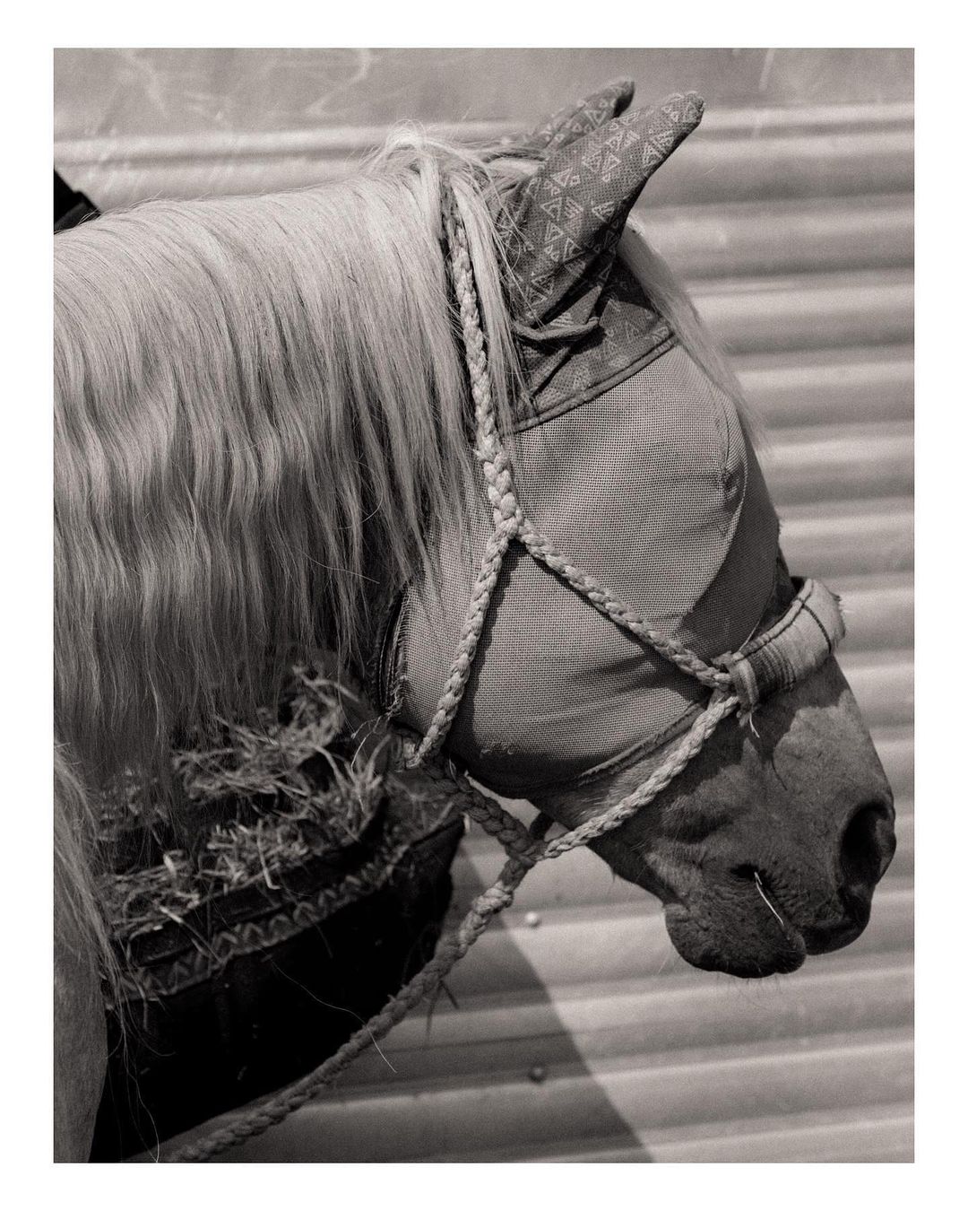 Sixteen Journal |  Nov. 22