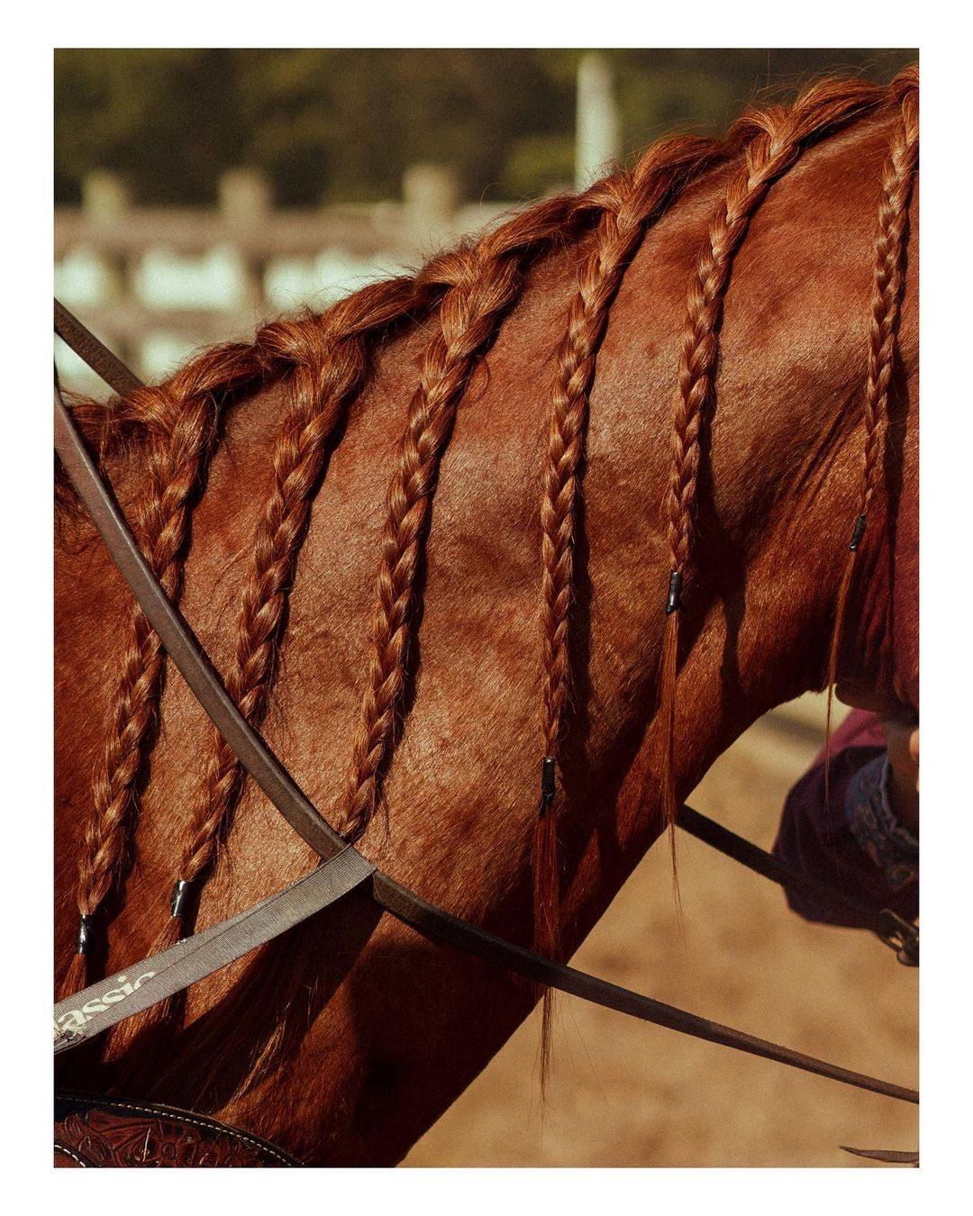 Sixteen Journal |  Nov. 22