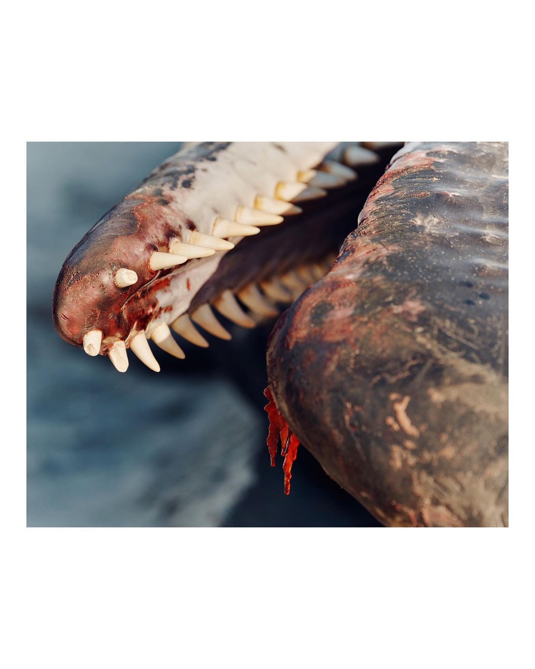 New York Magazine |  Feb. 23