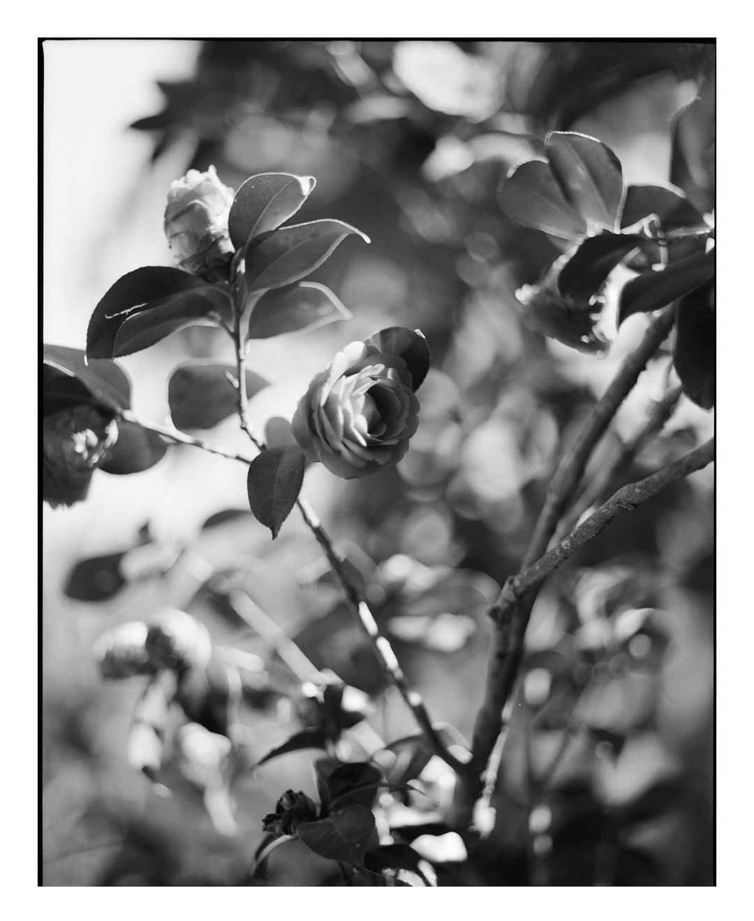 Granta Magazine |  Feb. 23