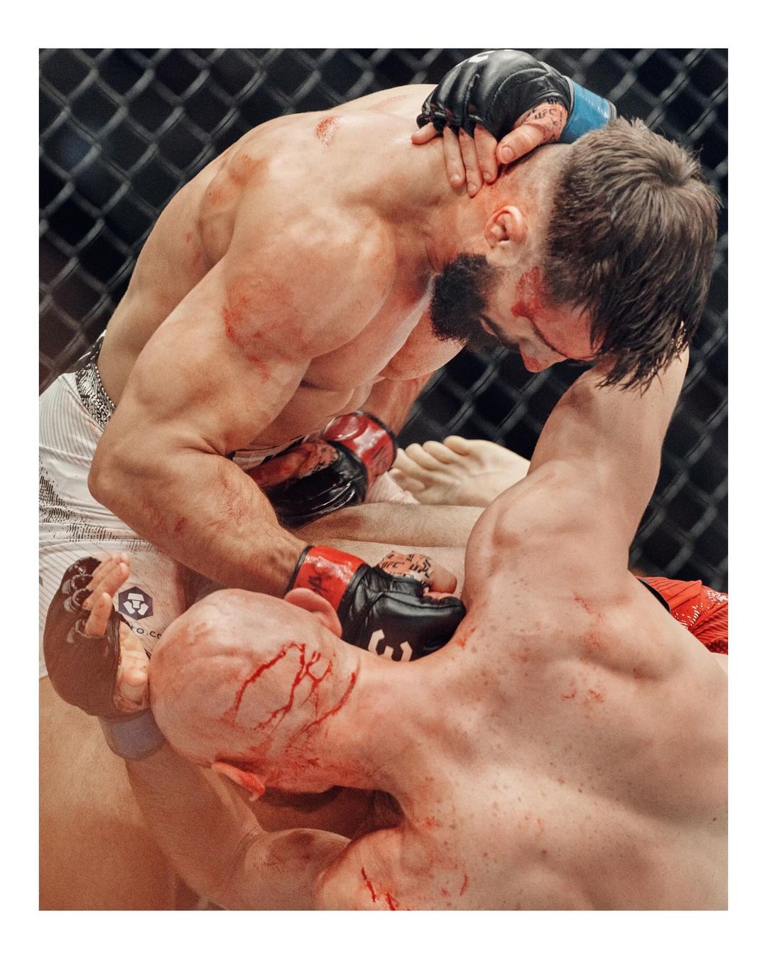 The New York Times |  Nov. 23