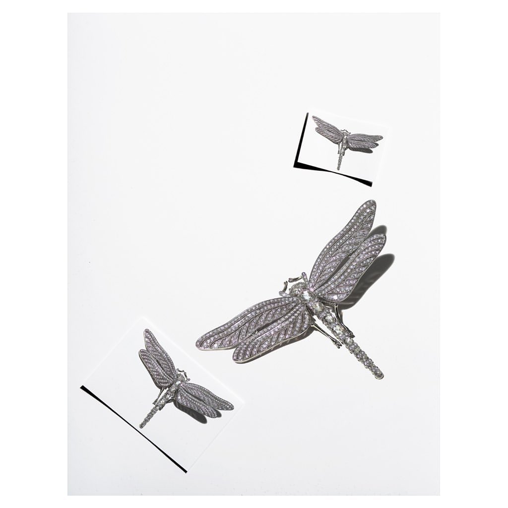 Vogue Scandinavia |  Aug. 21