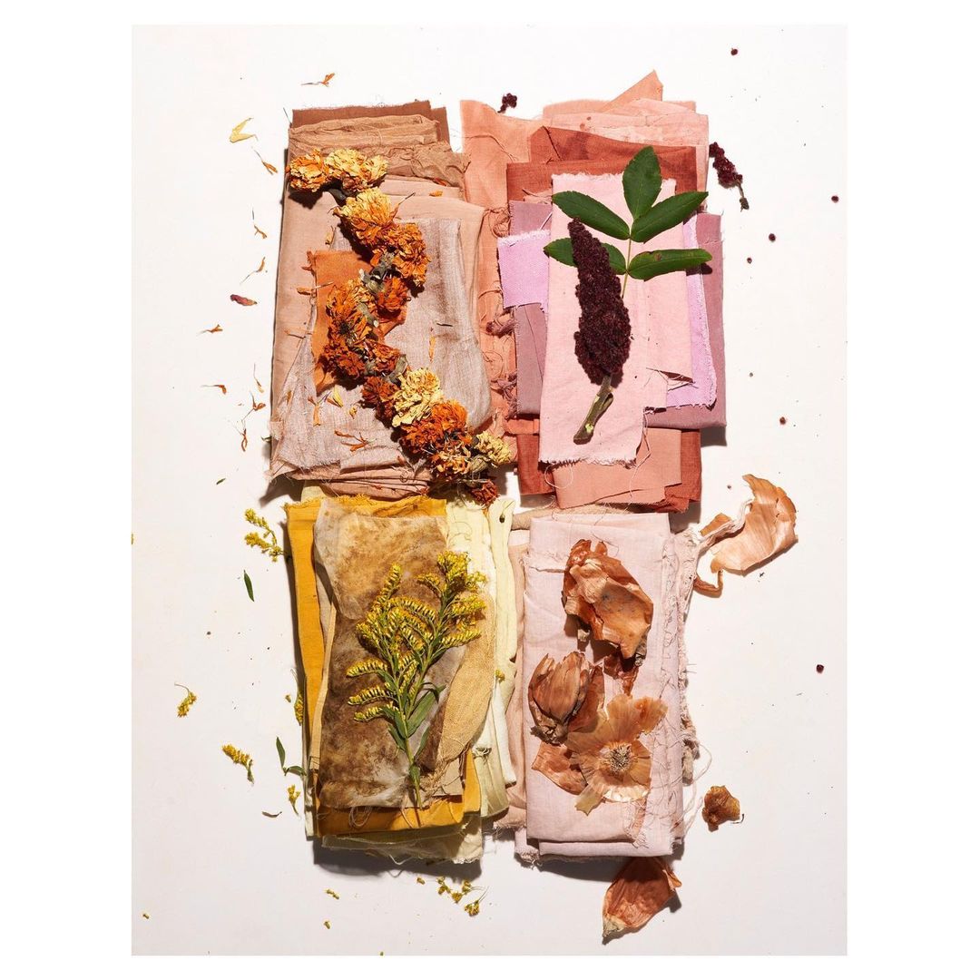 Upstate Diary |  May. 22