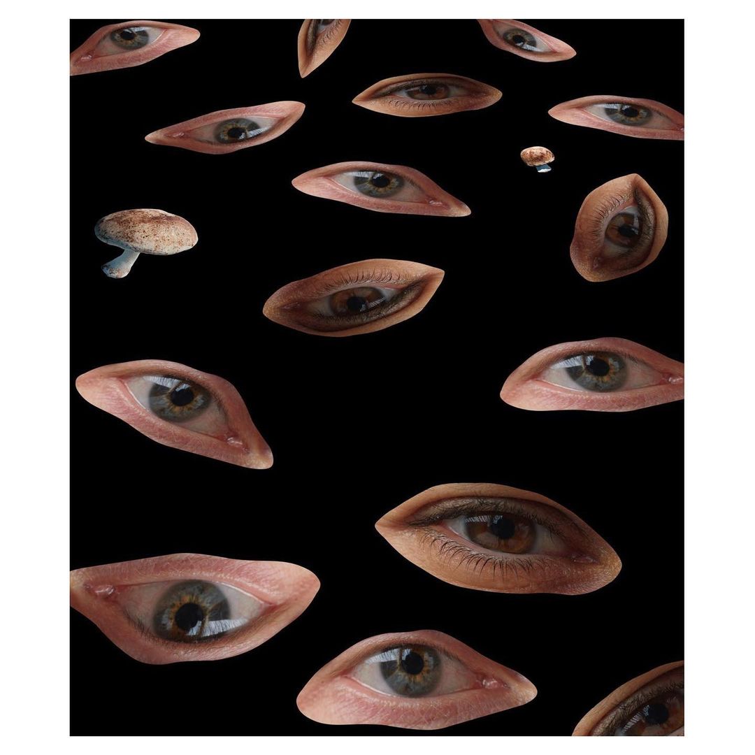 D la Repubblica |  Apr. 23