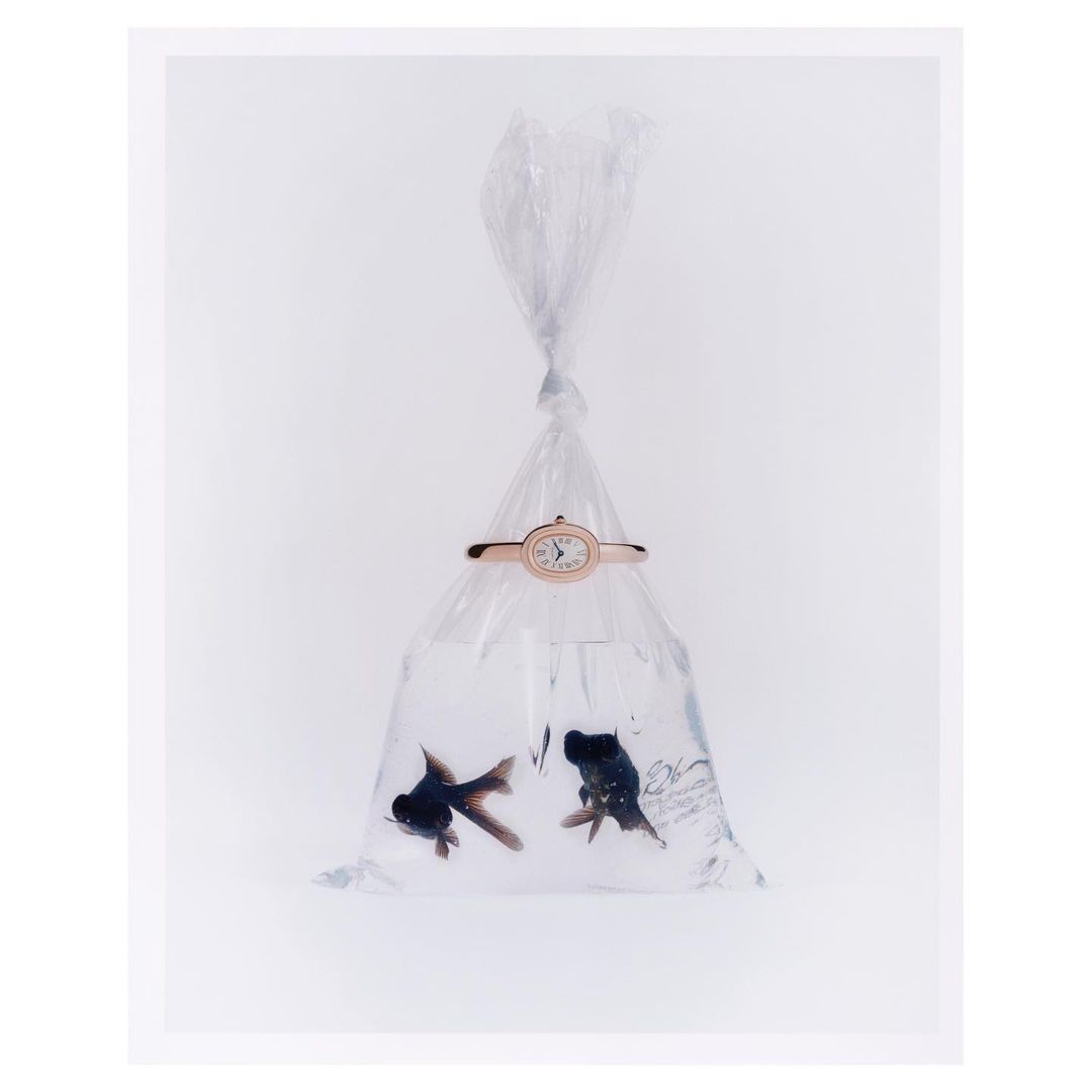 Harper's Bazaar US |  Jun. 23