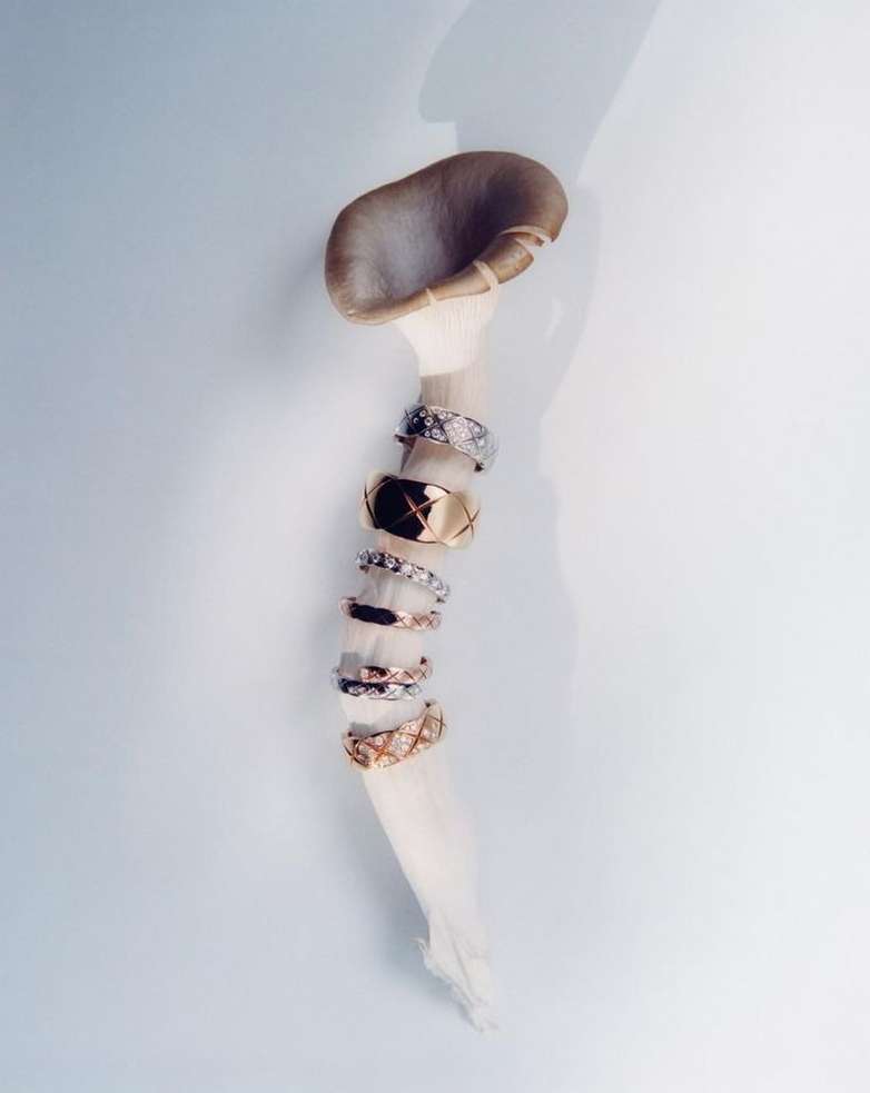 Vogue Scandinavia |  Nov. 23