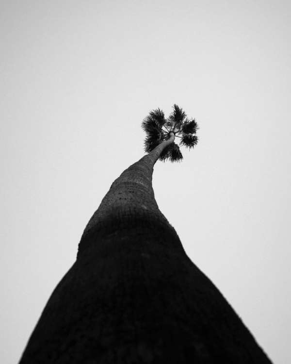 Sergiy Barchuk