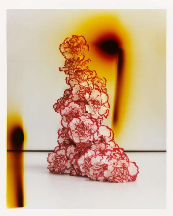 Adrien Dubost