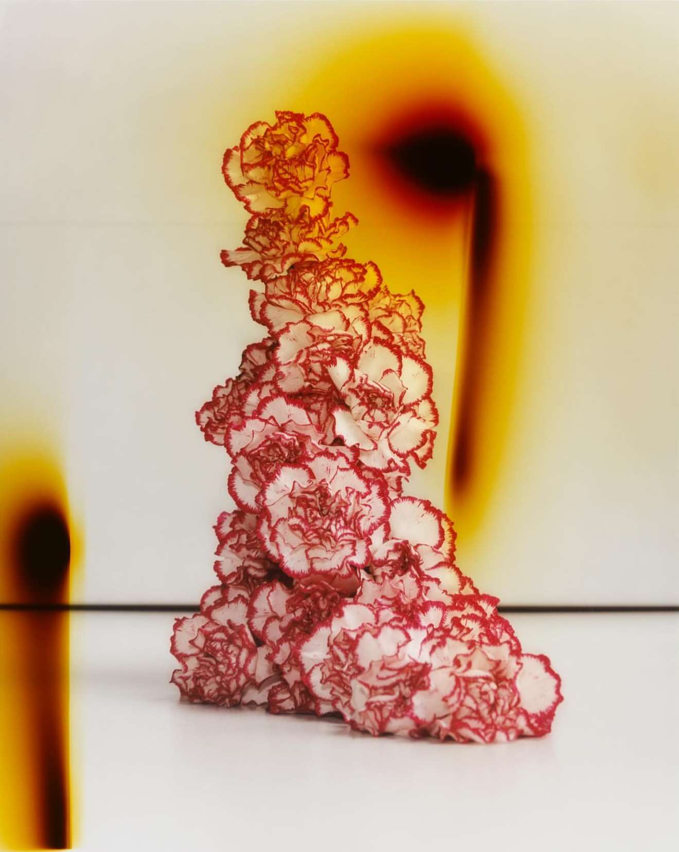 Adrien Dubost