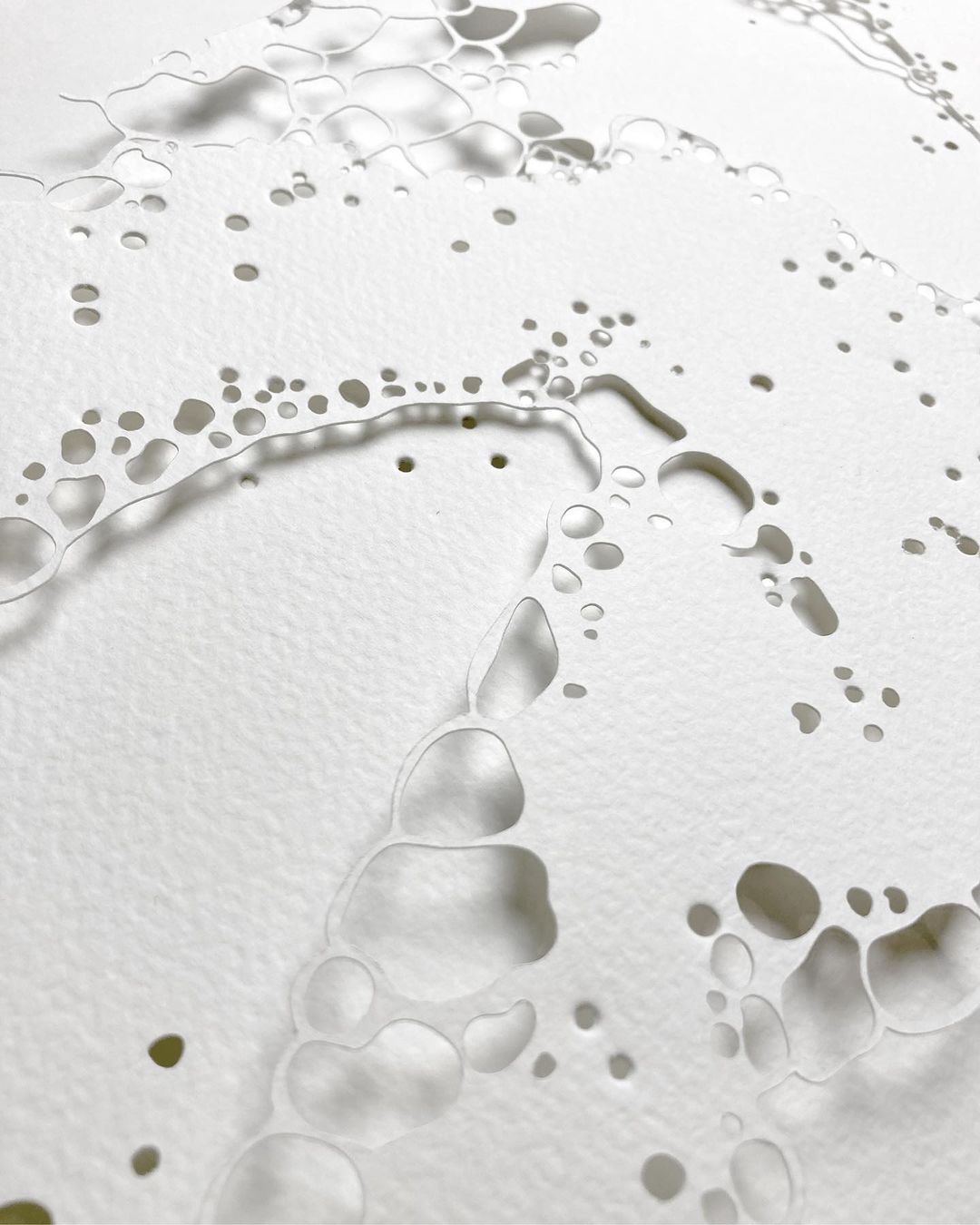 Champagne Ruinart |  Sep. 23