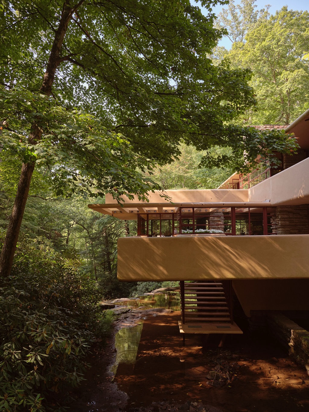 Cody James X Fallingwater