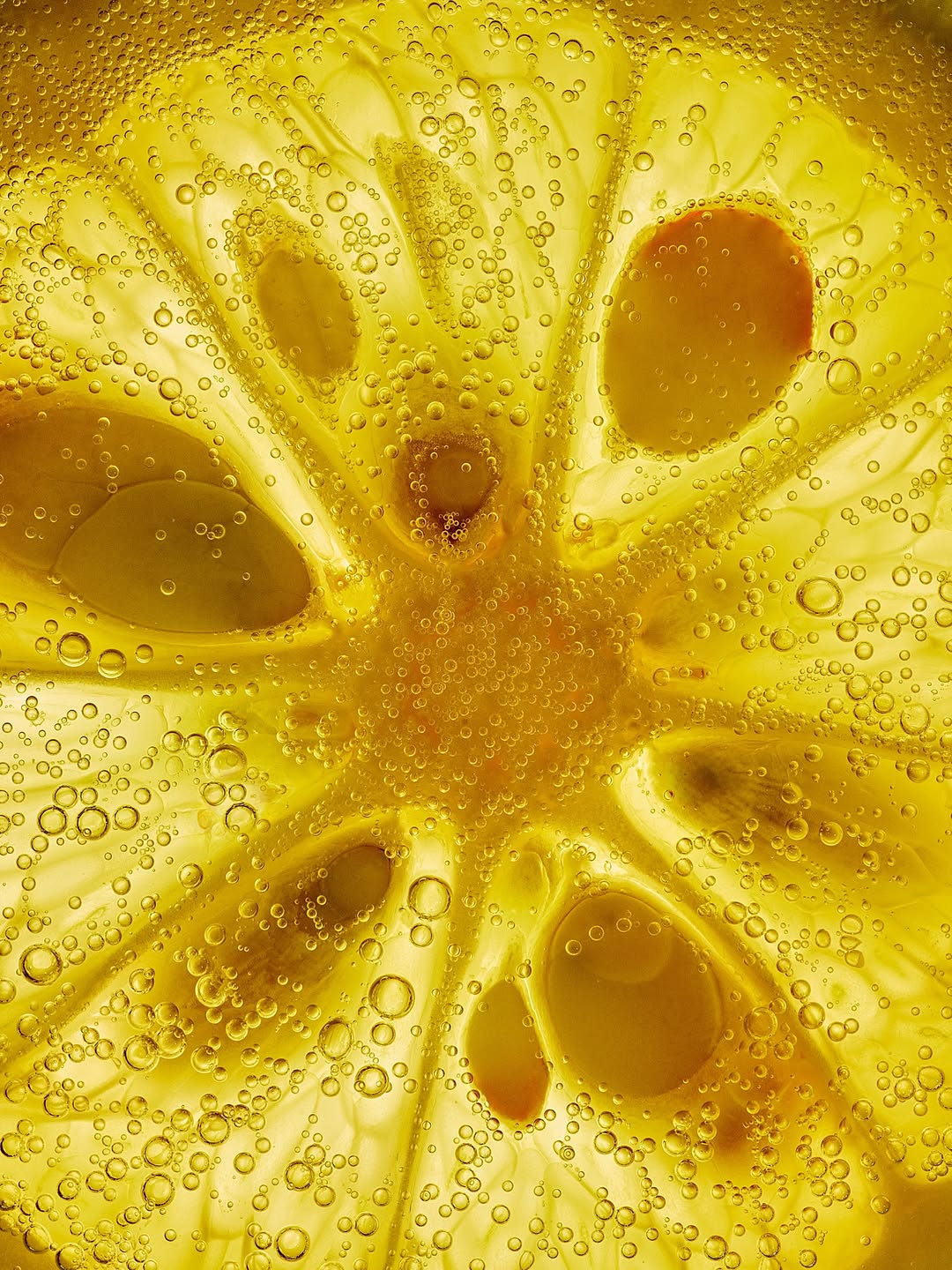 Colin Campbell Dec. 25