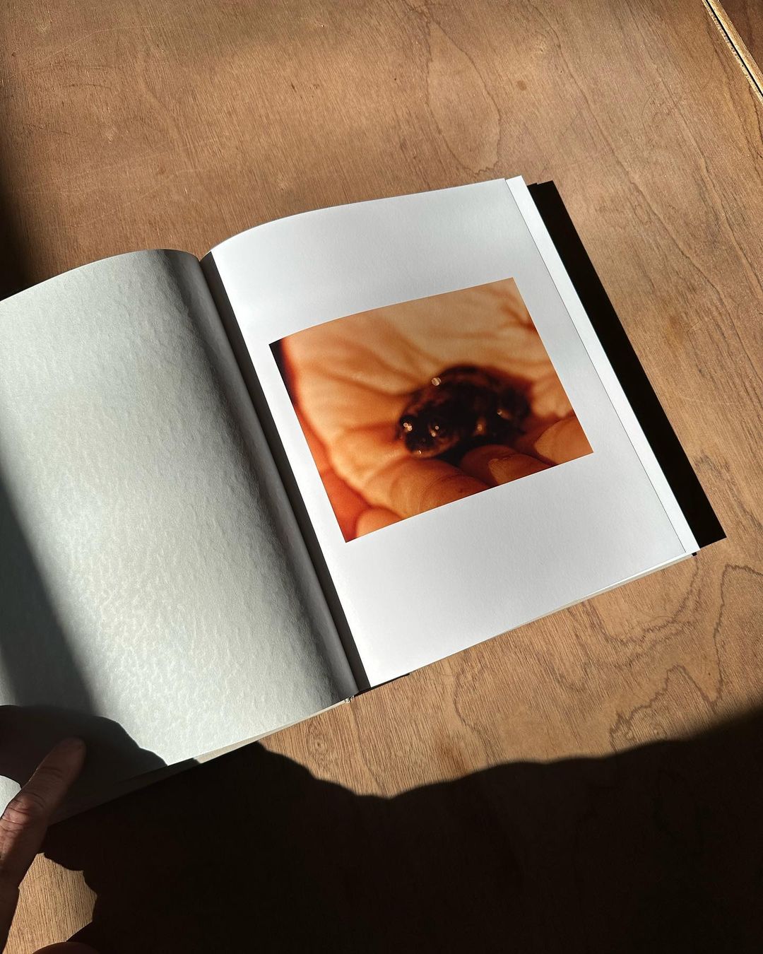 Young Space |  Apr. 23