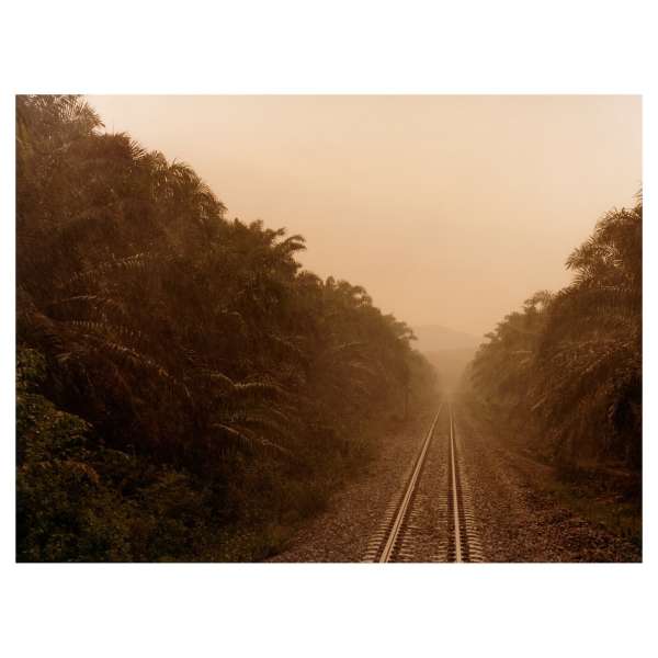 Colin Dodgson