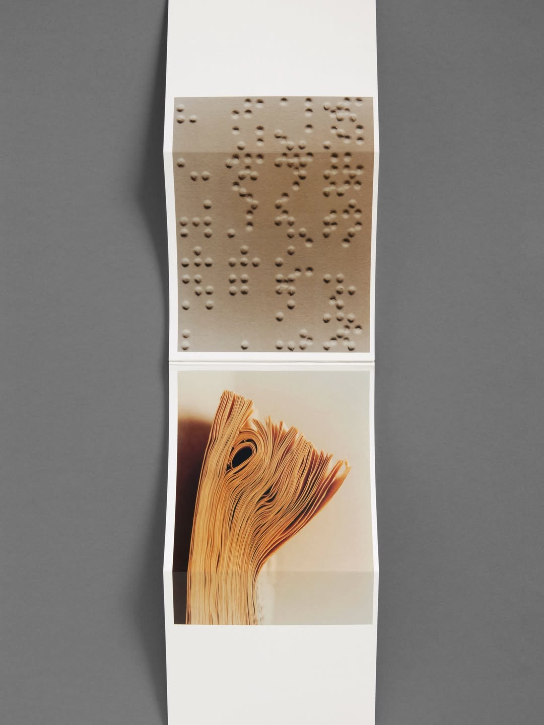 Colin Dodgson
