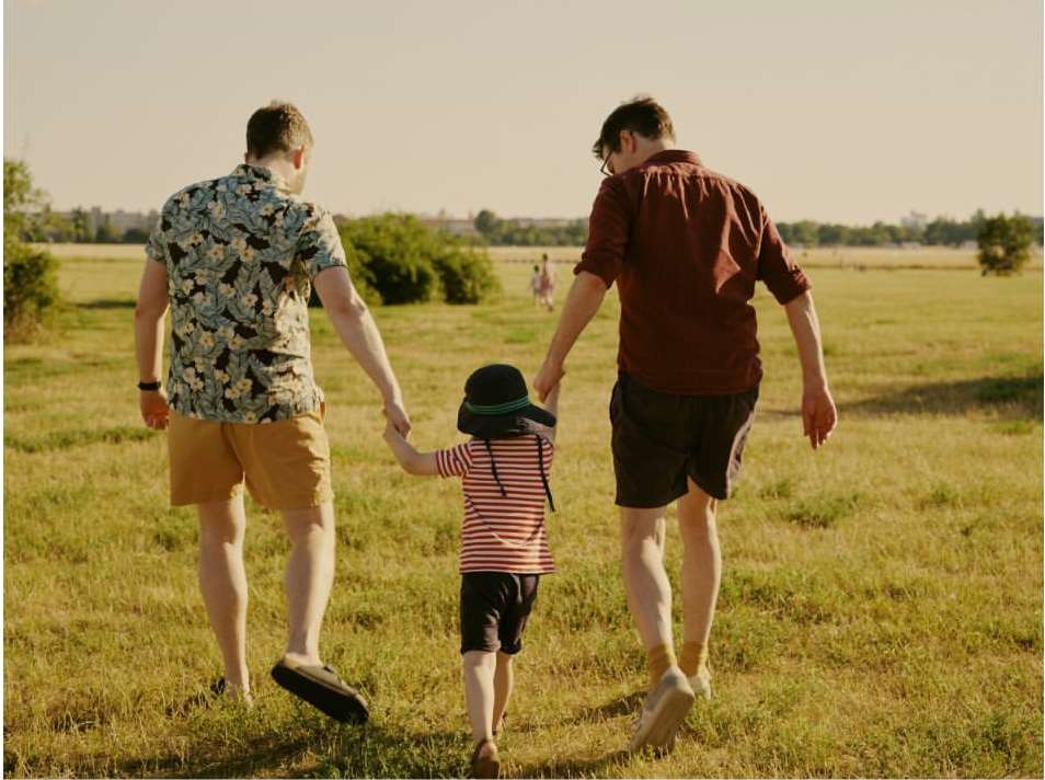 The Observer Magazine |  Nov. 23