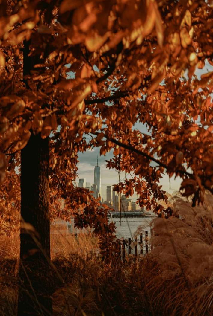 Edvinas Bruzas Dec. 25