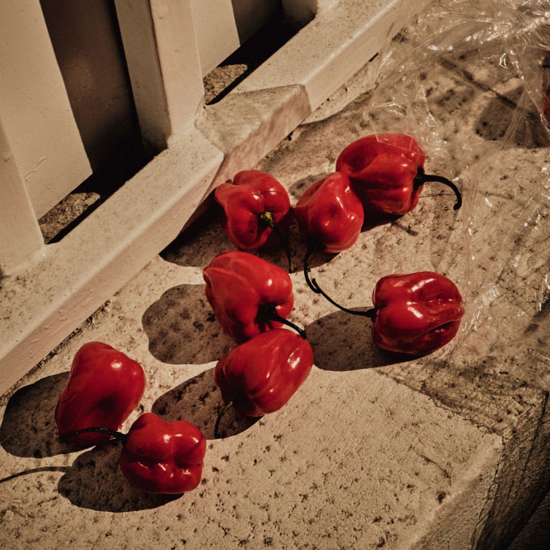 Charlie McKay X Picoso Jan. 26