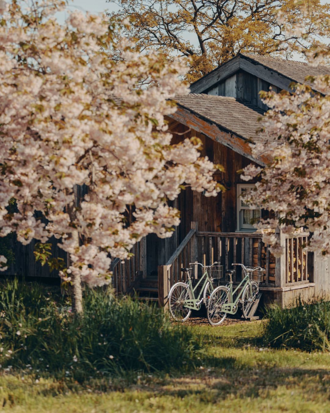 Edvinas Bruzas Feb. 26