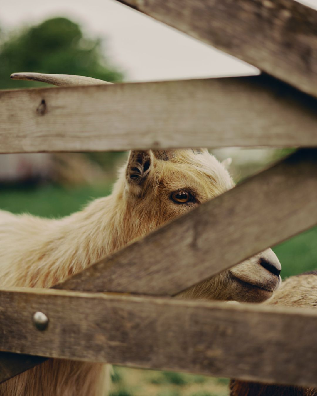 Edvinas Bruzas Feb. 26