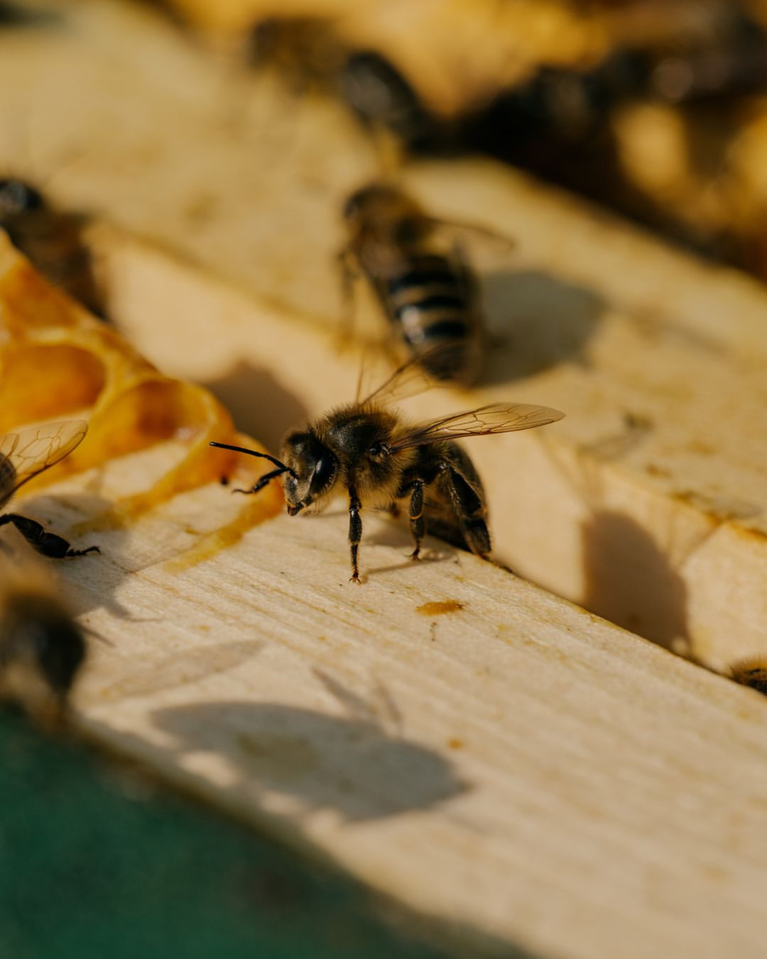 Jenna Foxton X Positive News Mar. 26