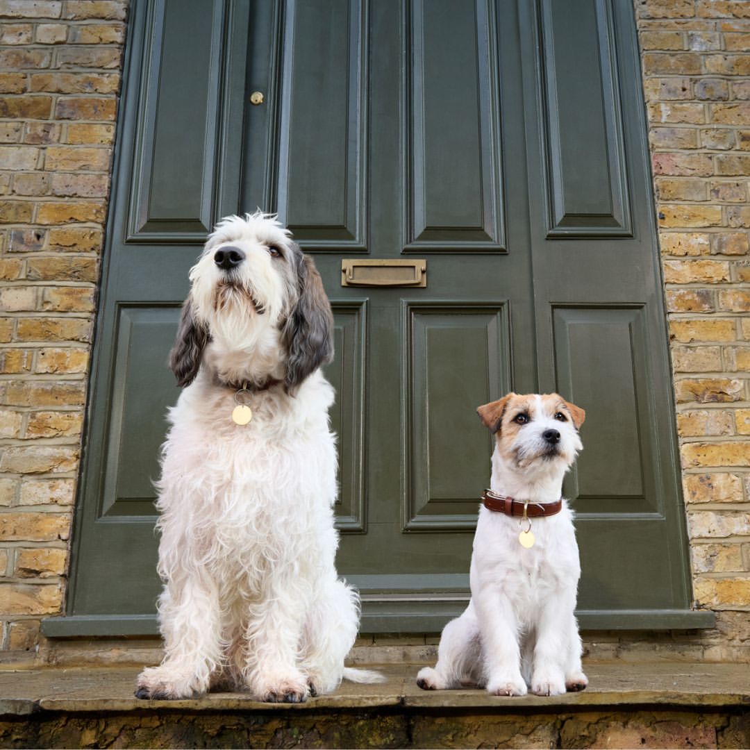 Catherine Falls X Crufts Mar. 26