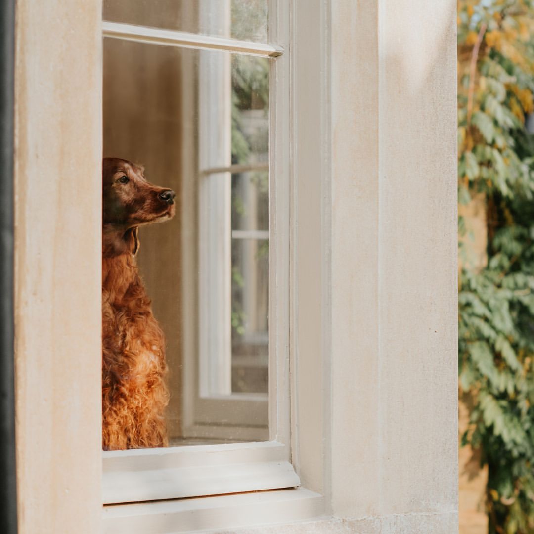 Catherine Falls X Crufts Mar. 26