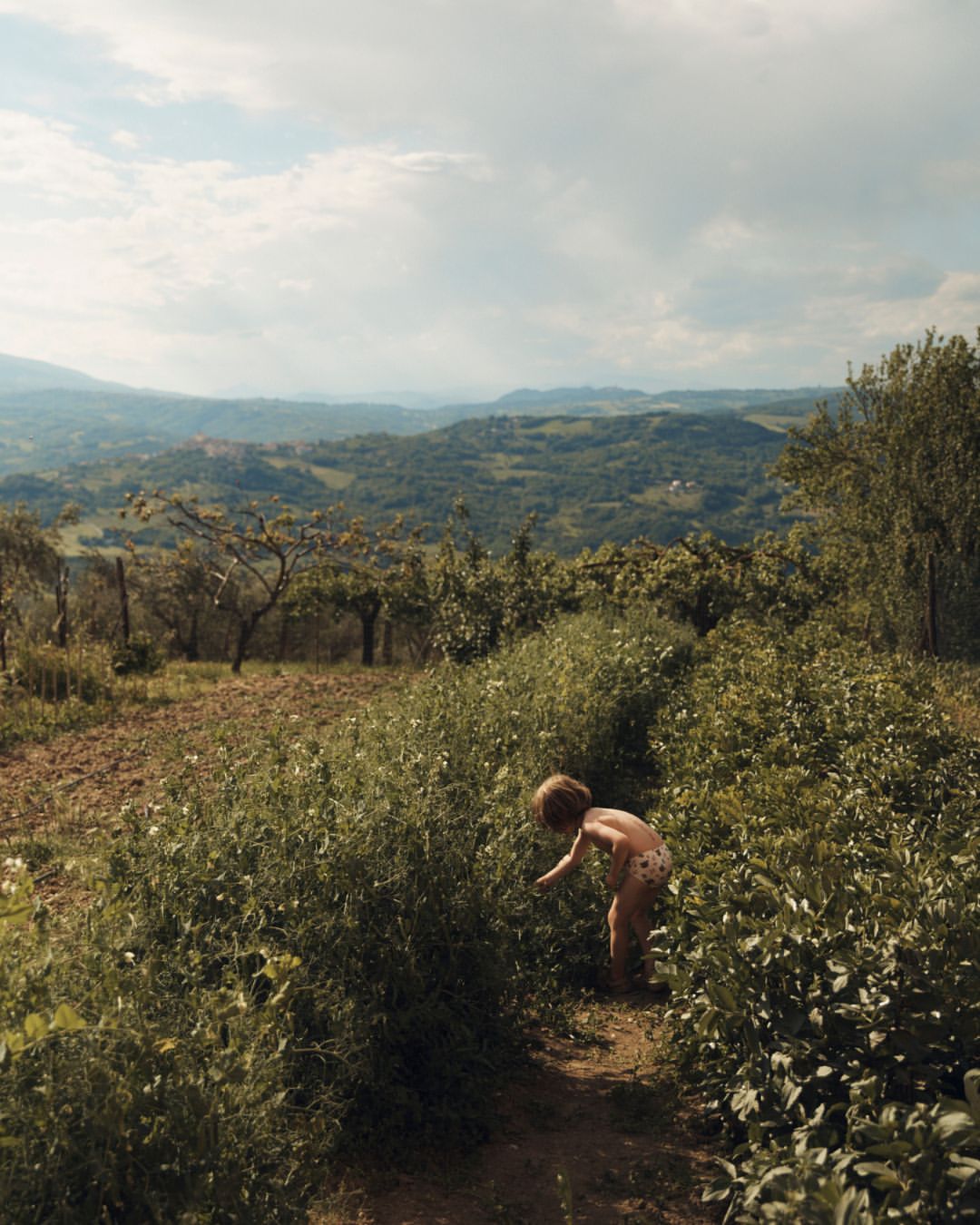 MONDAY REPORT NE 04/06/26