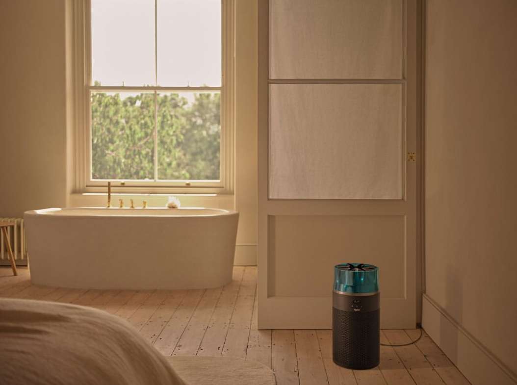 Edvinas Bruzas X Dyson