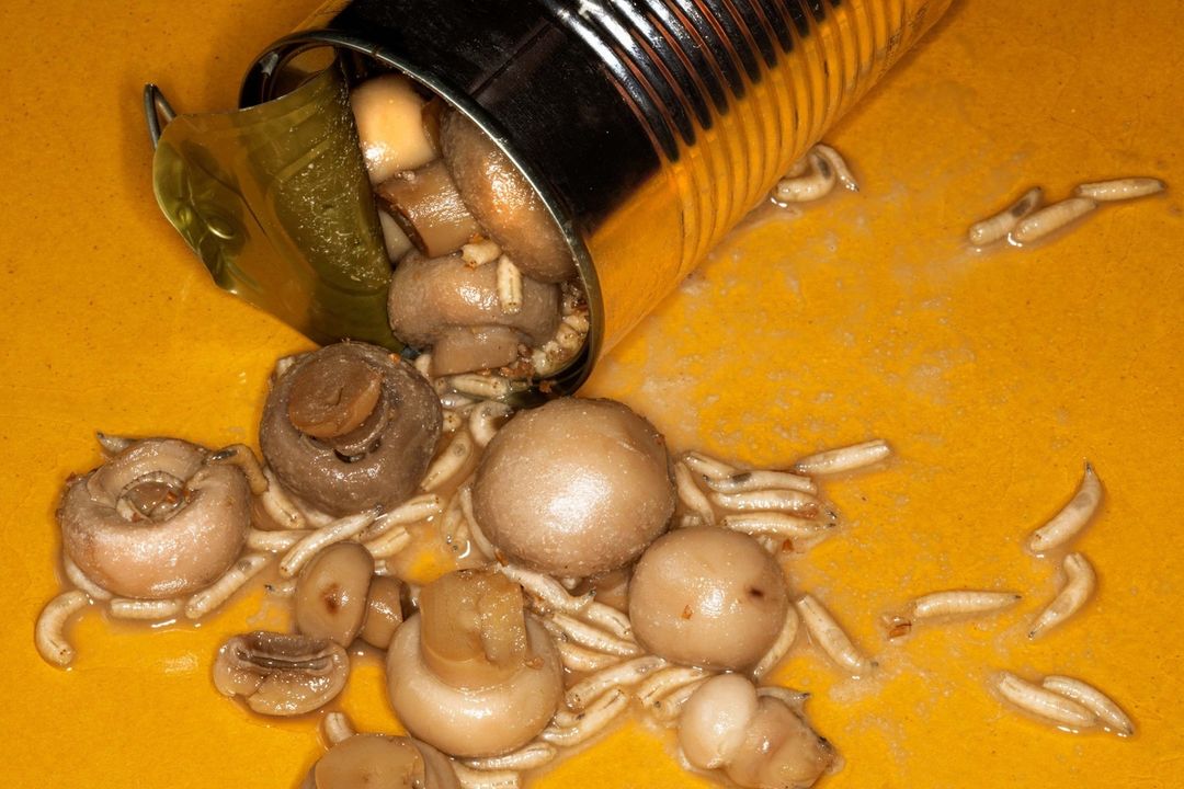 The New York Times |  Jan. 22