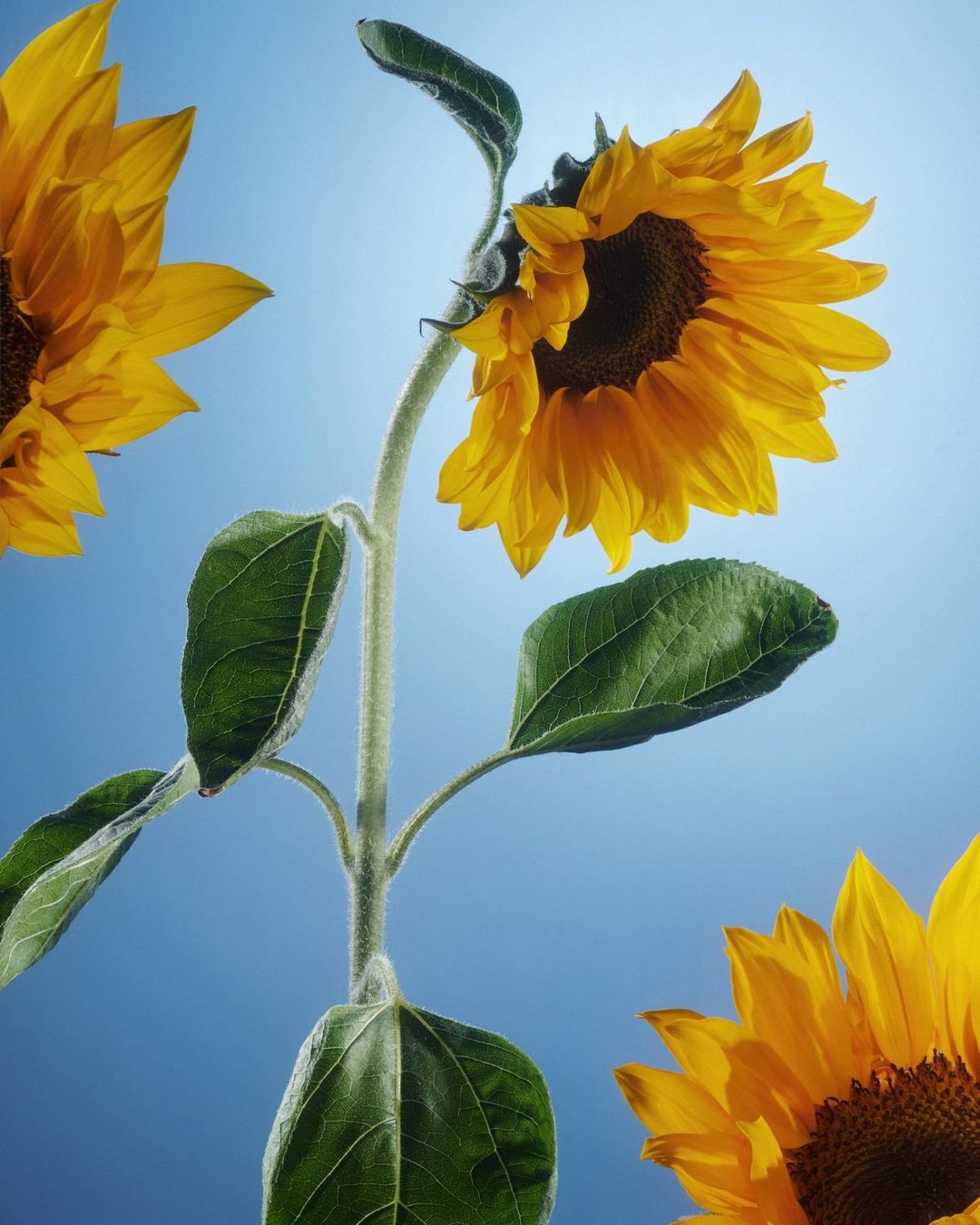 System Magazine |  Jul. 22