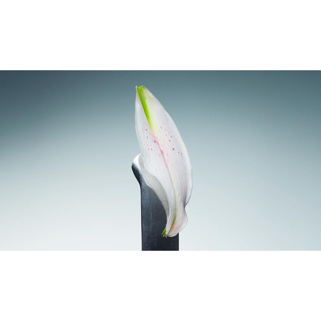 Perfume Lounge |  Mar. 23