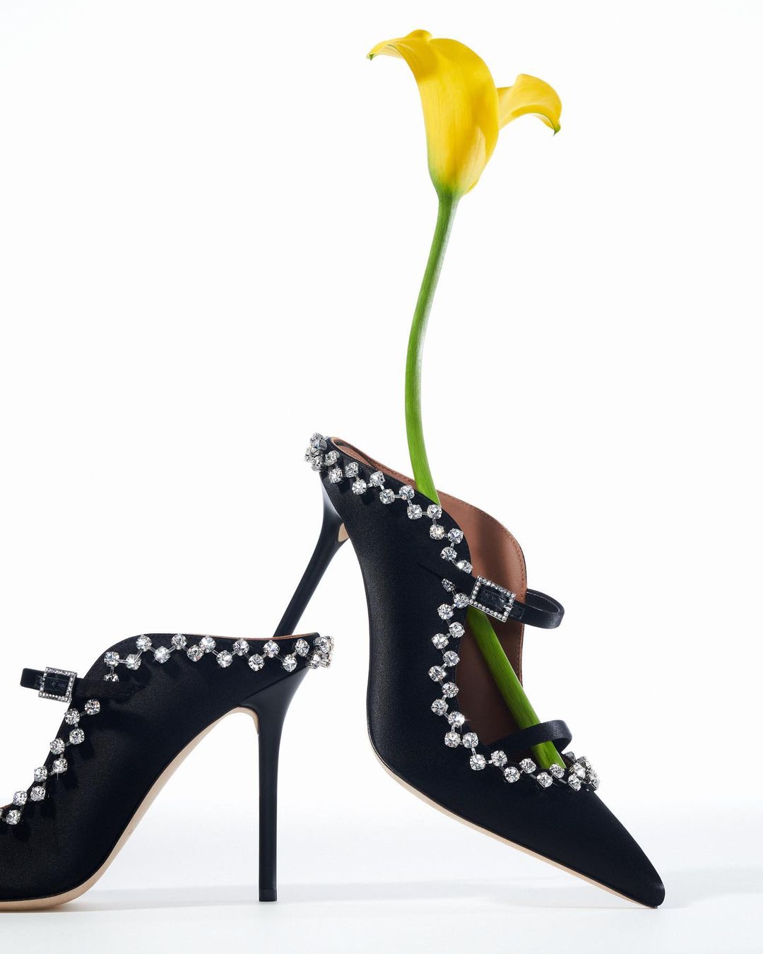 Malone Souliers |  Nov. 23