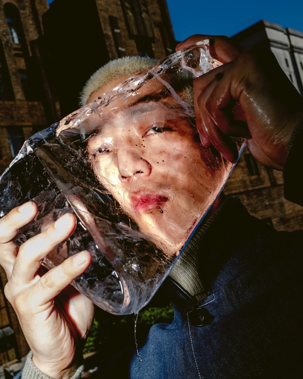 Feng Li
