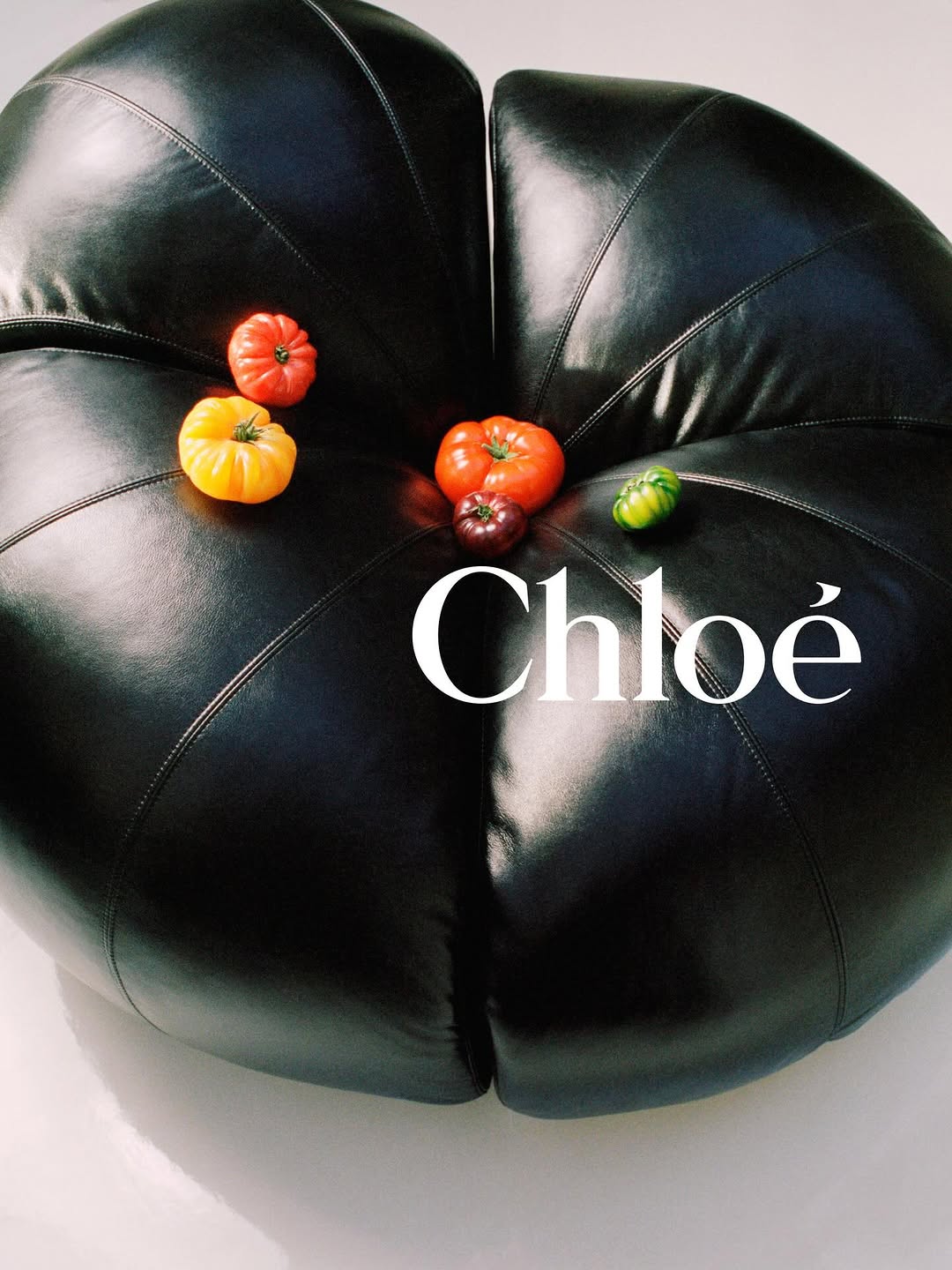 Camille Vivier X Chloé Apr. 26