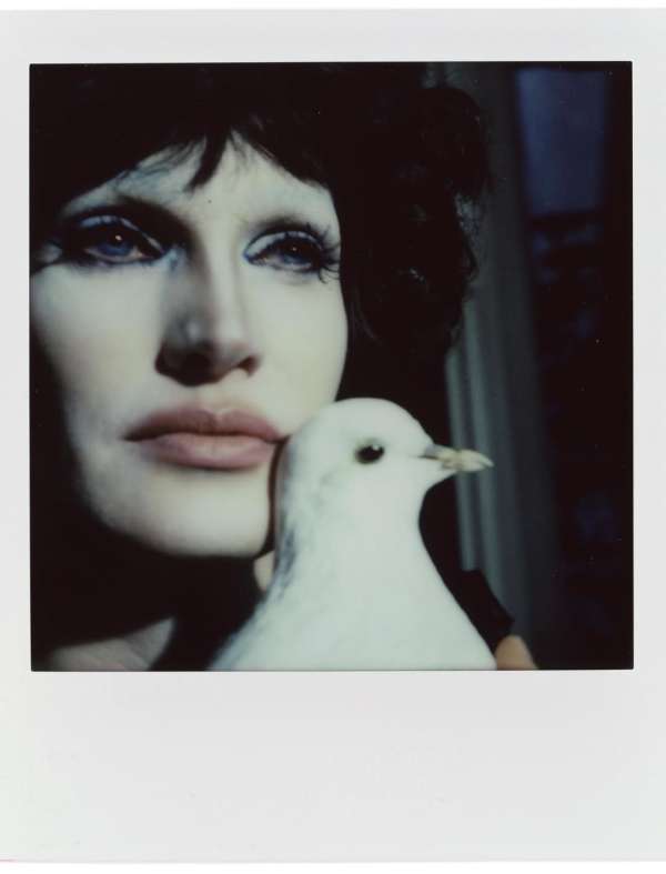 Camille Vivier