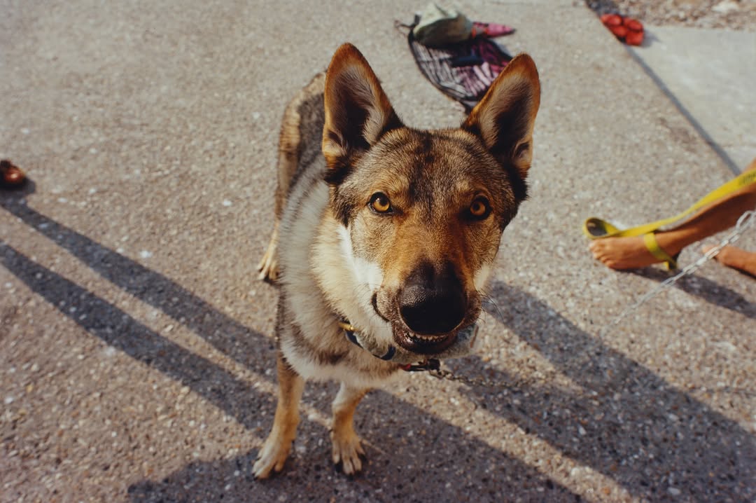 slider image