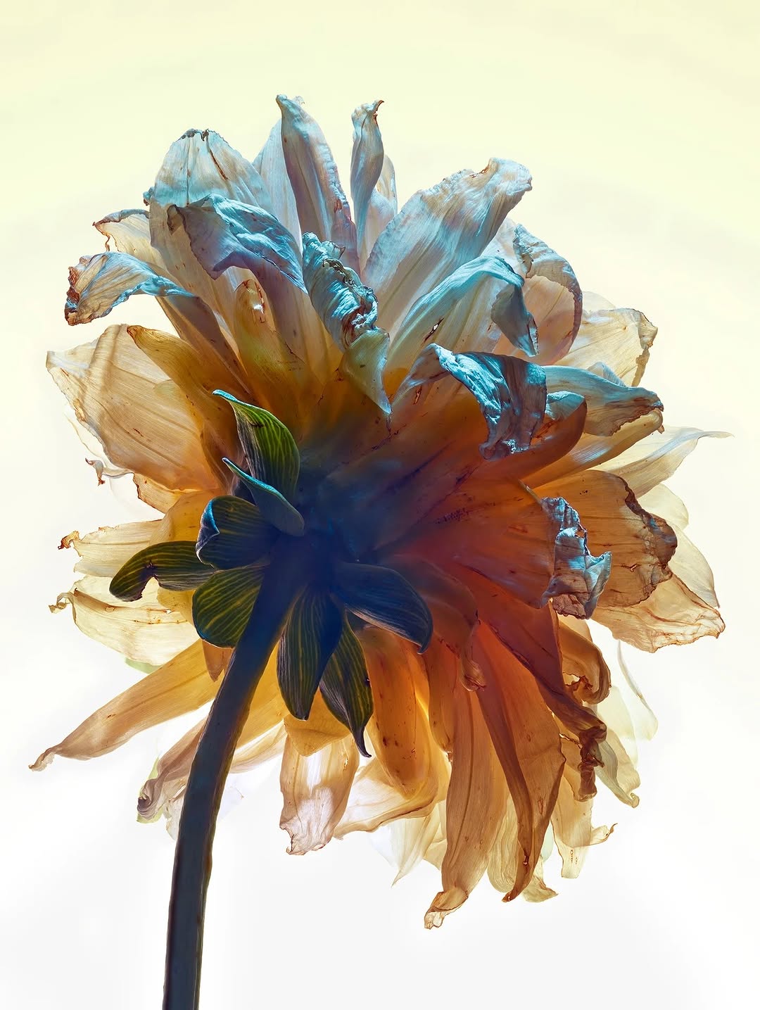 Jean-Baptiste Degez Mar. 26