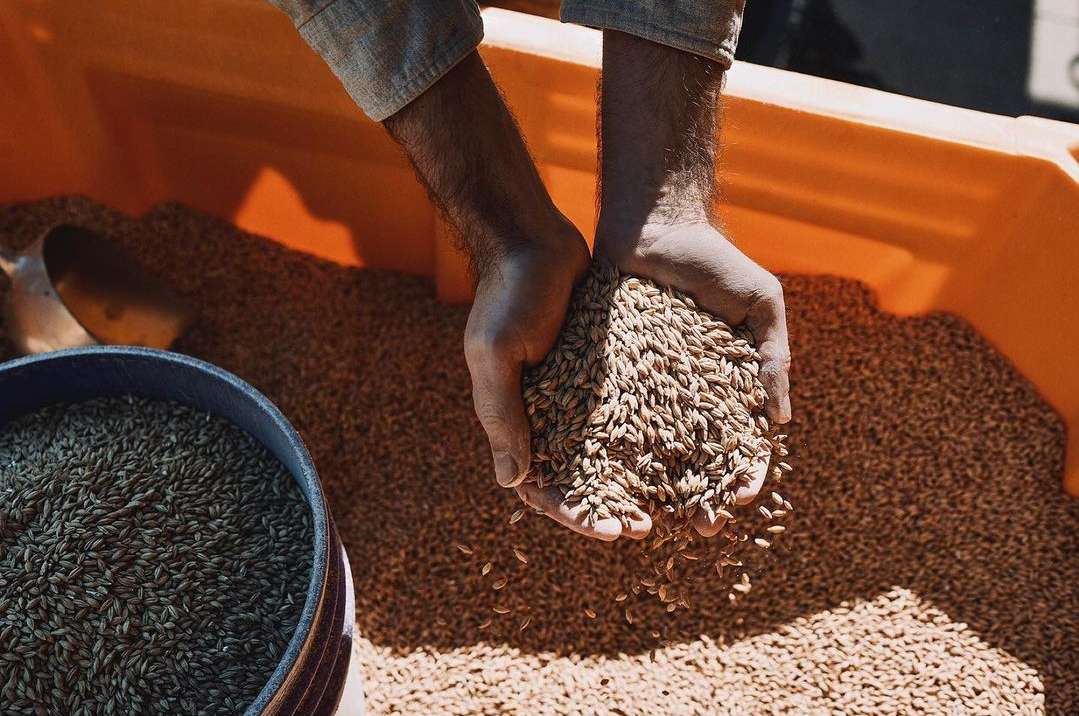 Arrowood Farms |  Nov. 23