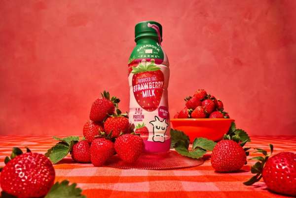 Dairy party @shamrockfarmsmilk 🐄