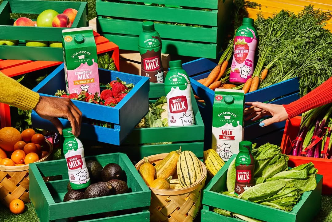 Dairy party @shamrockfarmsmilk ๐
#ShamrockFarms milks, creams and #cottagecheese shot by @stephaniegonot and produced @zachyproducer + @ziadgeorges
Food Stylist @vegetarianspacestation
Set Stylist @lizaminnelson
Stylist @leahadicoff
Hair + Makeup @sandyganzer
Talent @closeupmodelsagency
Thank you @redeyereps for having us ๐ฅ
#milky #creamy #dairy