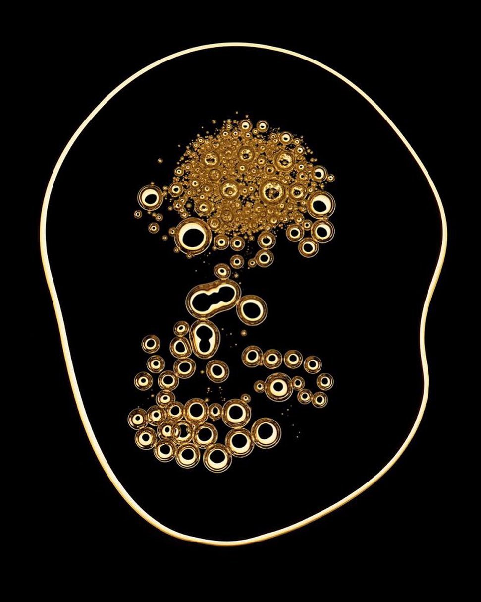 Numero Magazine |  Jun. 19