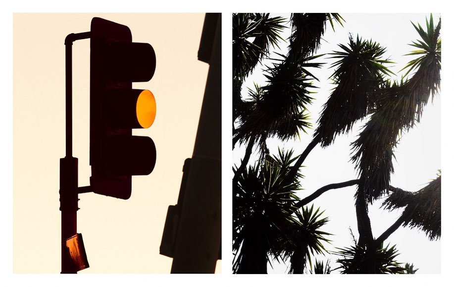 Danziger Gallery |  Sep. 20