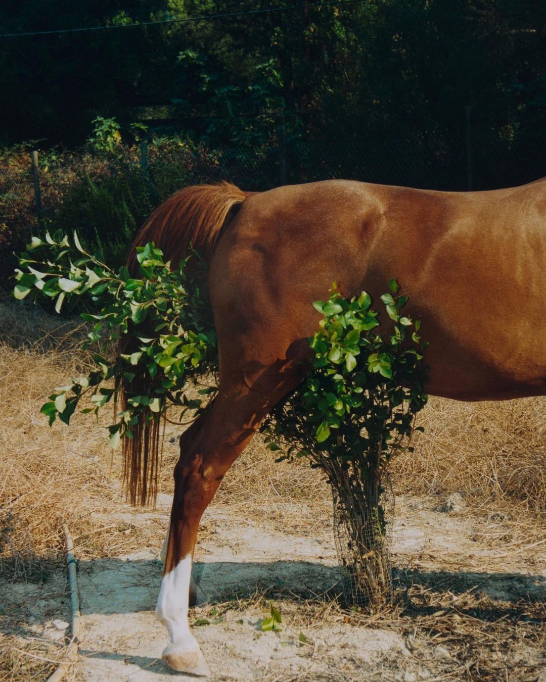 The Greatest Magazine |  Mar. 23