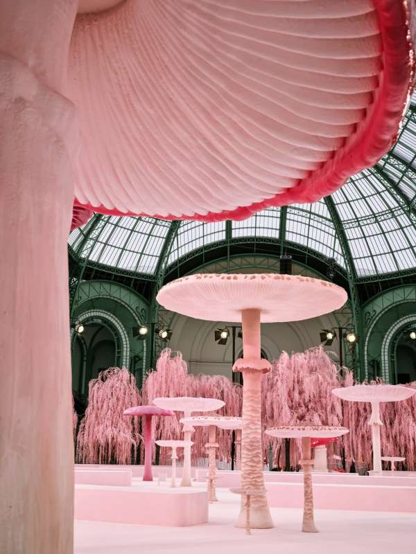Francois Halard