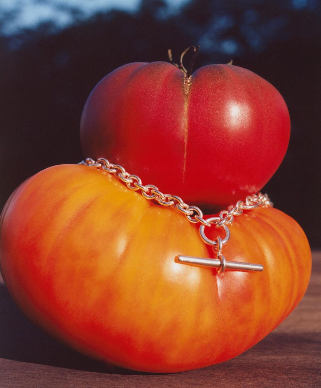 Sapir Bachar |  Oct. 23