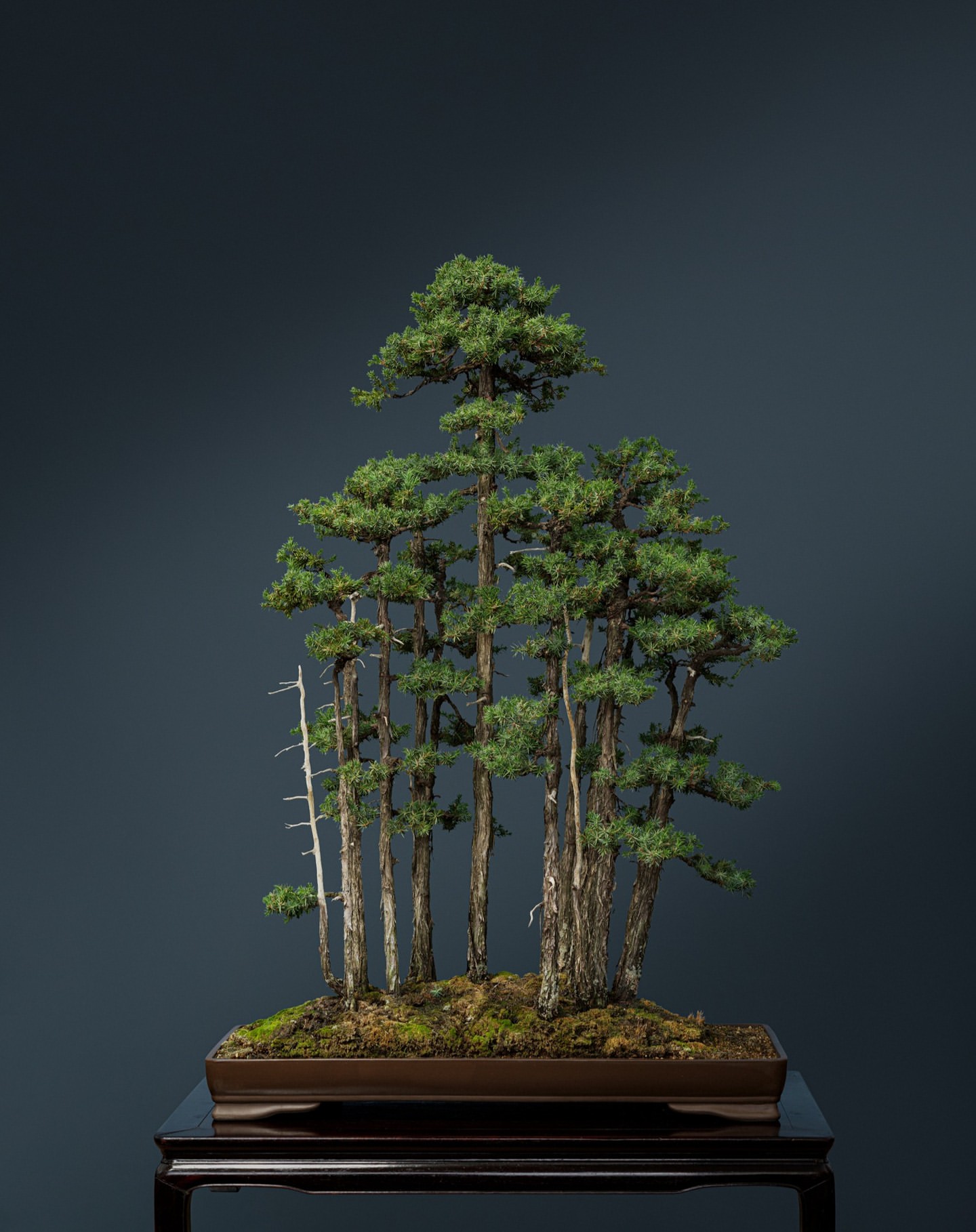 Christoffer Rudquist 