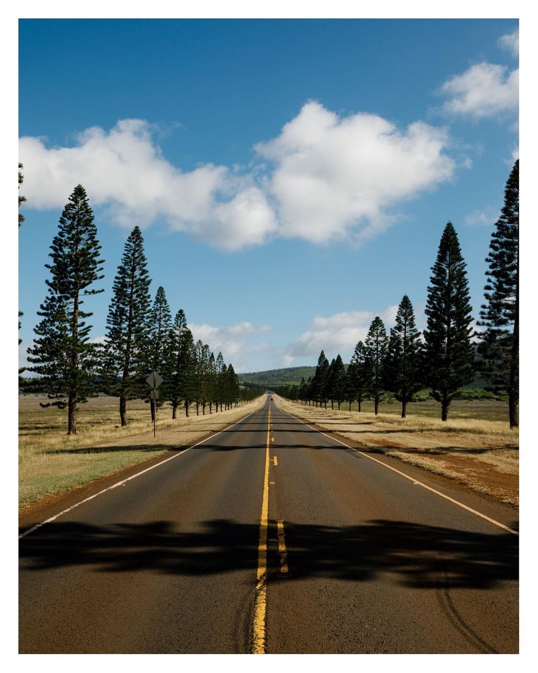 The New York Times |  May. 22