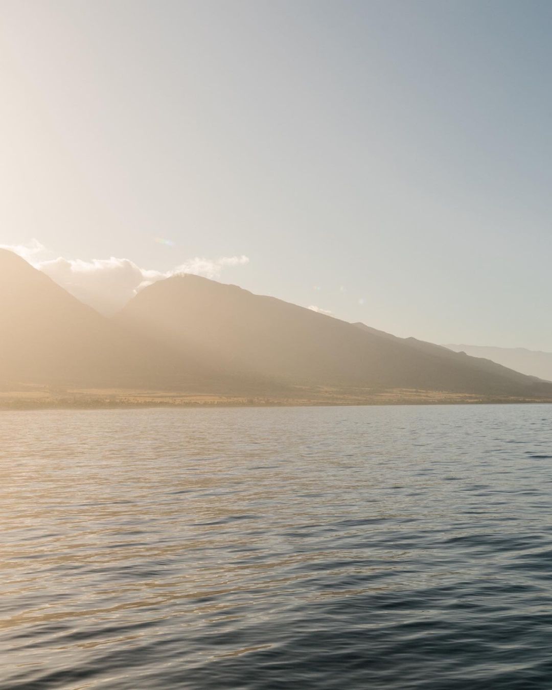 The New York Times |  May. 22