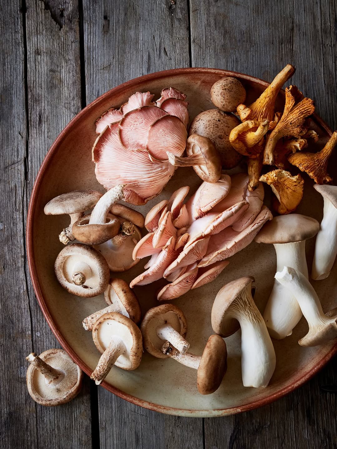 Dana Gallagher X Lidia Bastianich for Penguin Random House Oct. 25